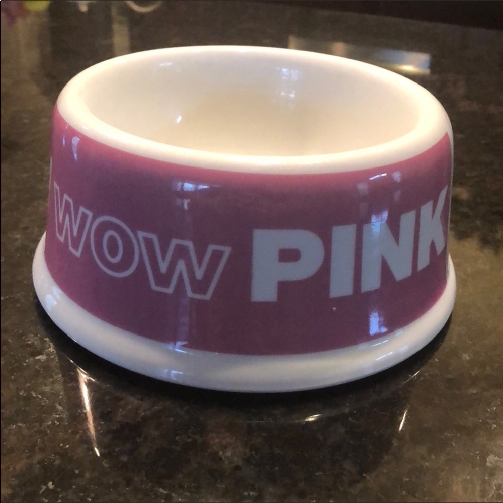 RARE Pink Victoria’s Secret Ceramic dog bowl